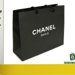 tui-giay-cao-cap-Chanel