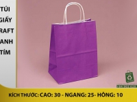 Tui-giay-kraft-mau-Tim-V01-302510