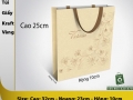 Kraft paper bag 251005